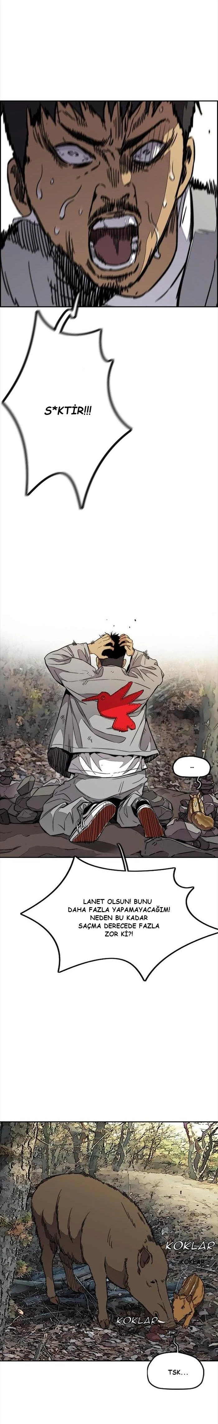 Read Wind Breaker TR Manga Online