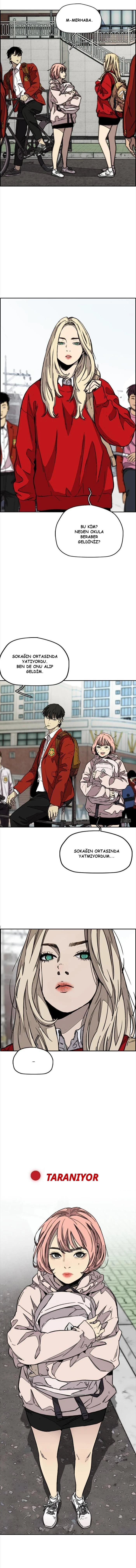 Read Wind Breaker TR Manga Online