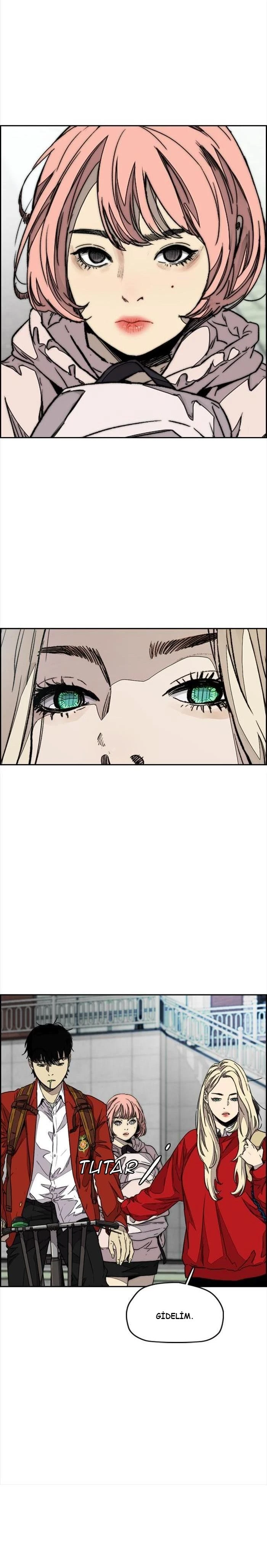 Read Wind Breaker TR Manga Online