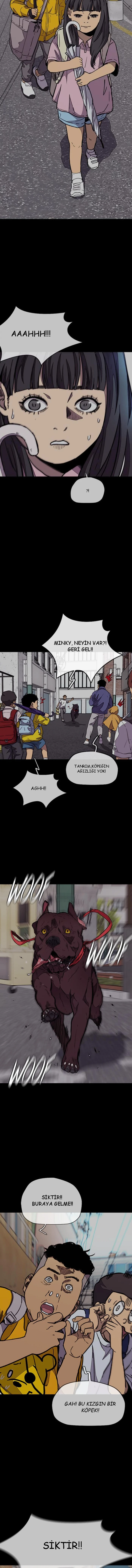 Read Wind Breaker TR Manga Online