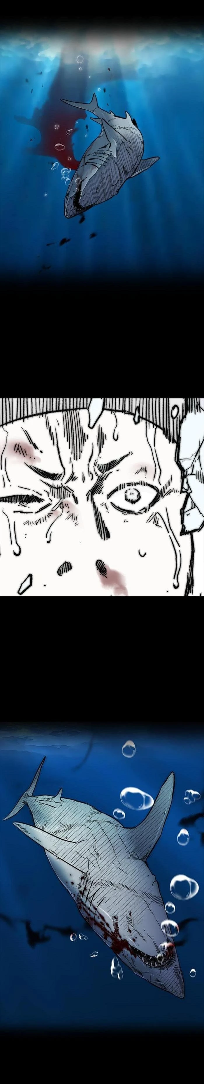 Read Wind Breaker TR Manga Online