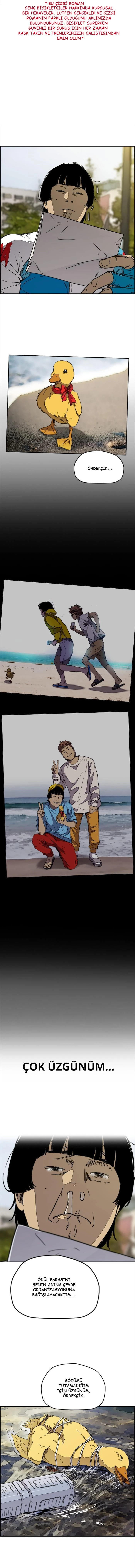Read Wind Breaker TR Manga Online