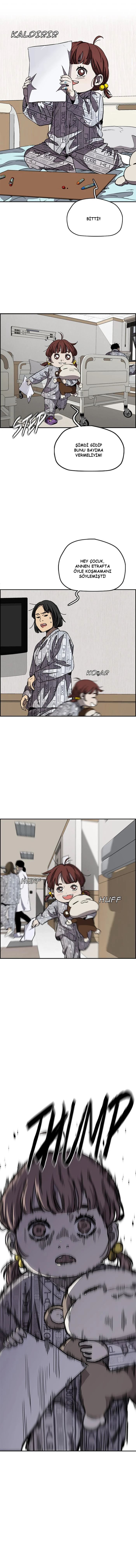 Read Wind Breaker TR Manga Online