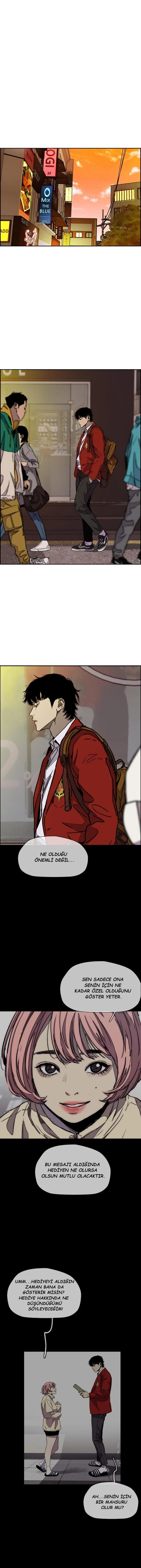 Read Wind Breaker TR Manga Online
