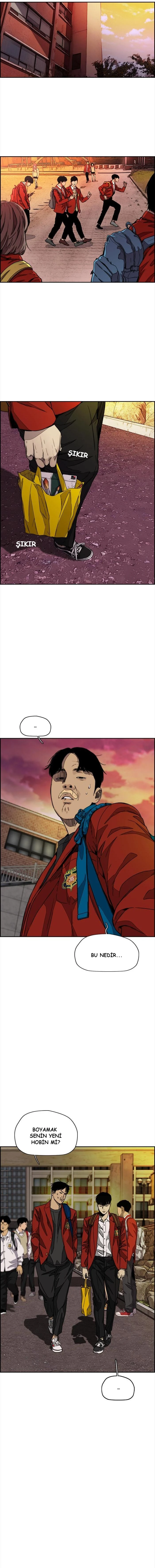 Read Wind Breaker TR Manga Online