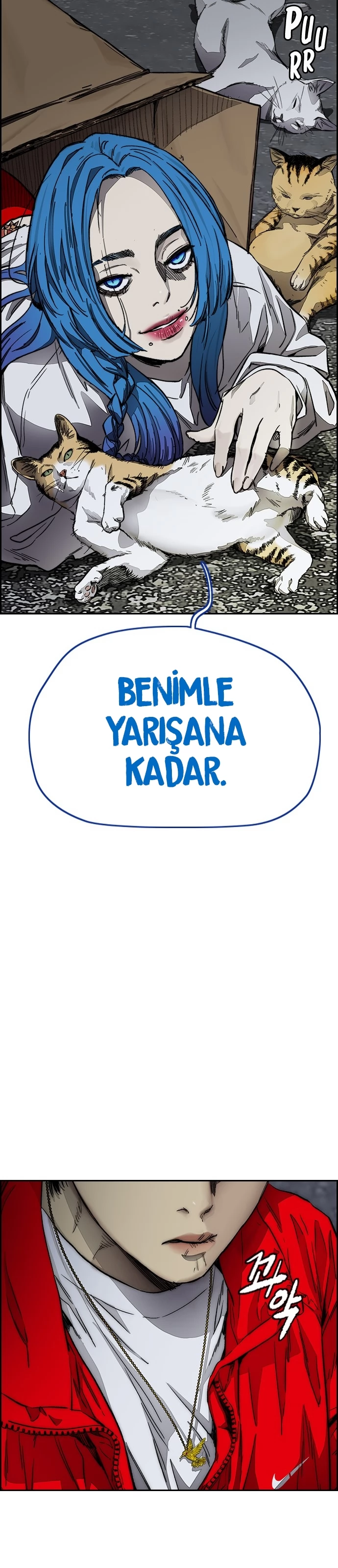 Read Wind Breaker TR Manga Online