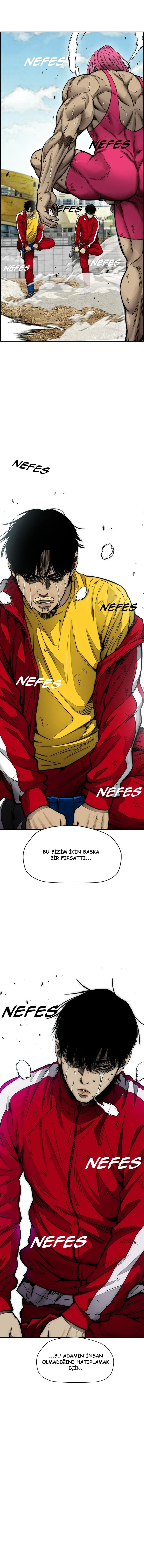 Read Wind Breaker TR Manga Online