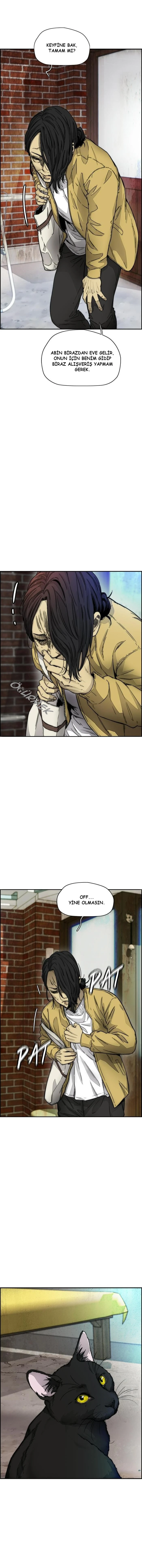 Read Wind Breaker TR Manga Online