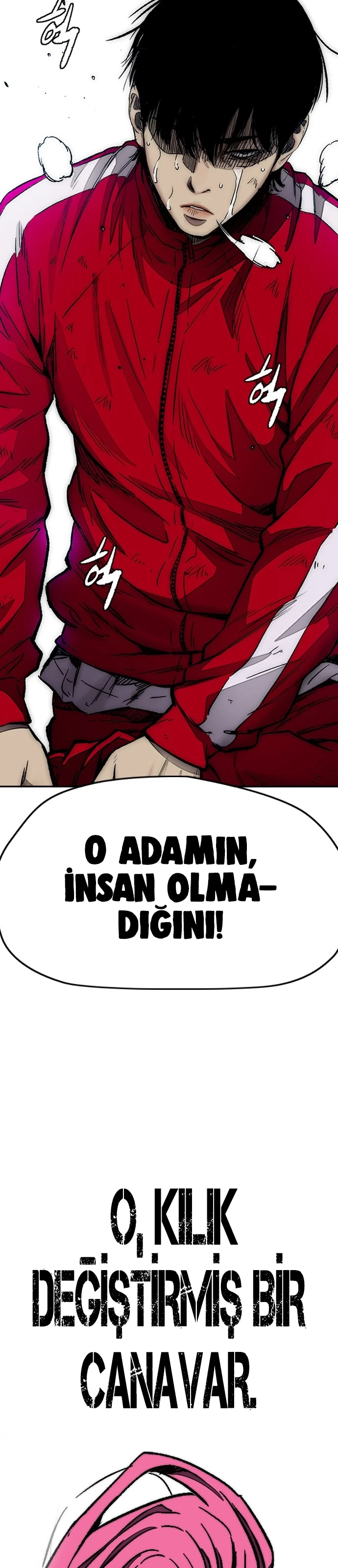 Read Wind Breaker TR Manga Online
