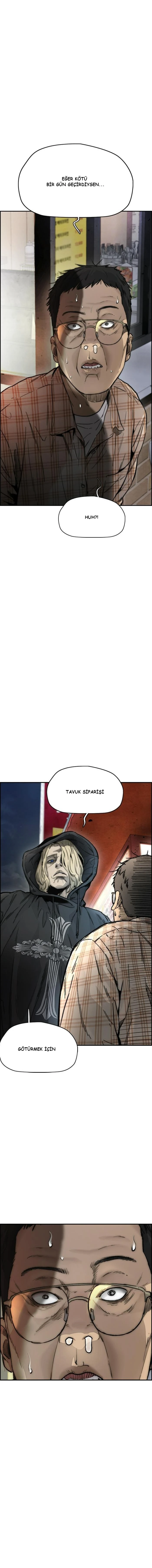 Read Wind Breaker TR Manga Online
