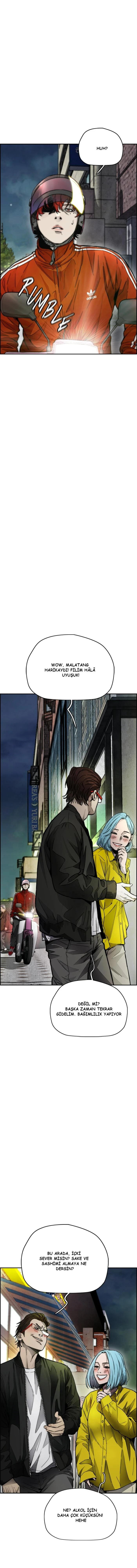 Read Wind Breaker TR Manga Online