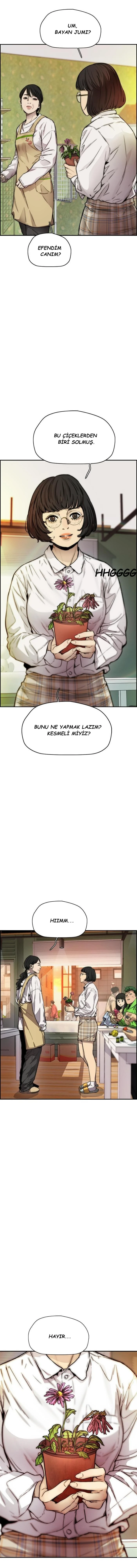 Read Wind Breaker TR Manga Online