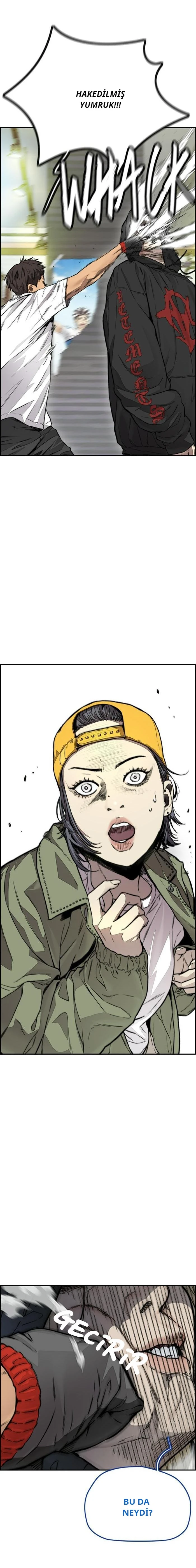 Read Wind Breaker TR Manga Online