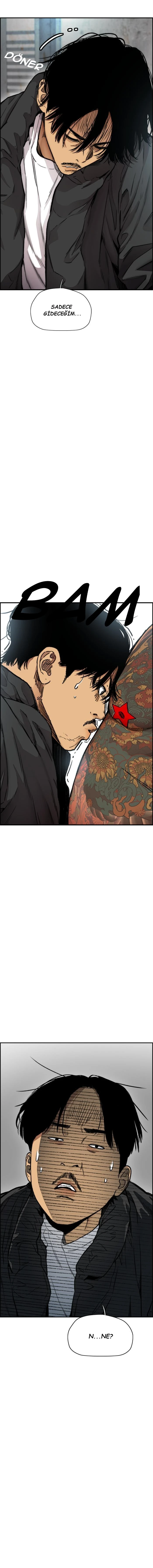 Read Wind Breaker TR Manga Online