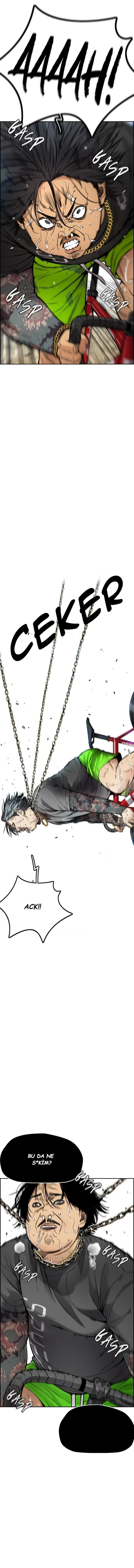 Read Wind Breaker TR Manga Online