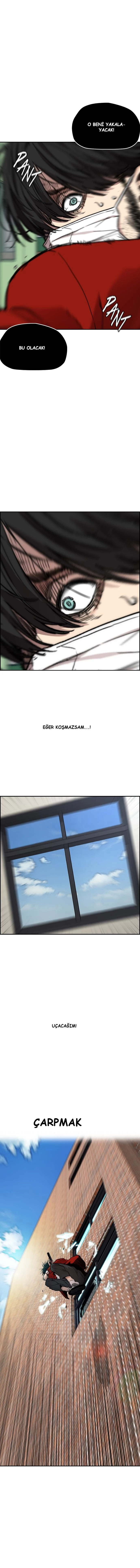 Read Wind Breaker TR Manga Online