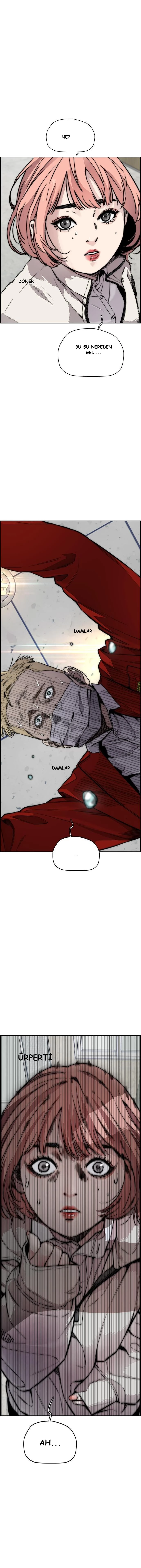 Read Wind Breaker TR Manga Online