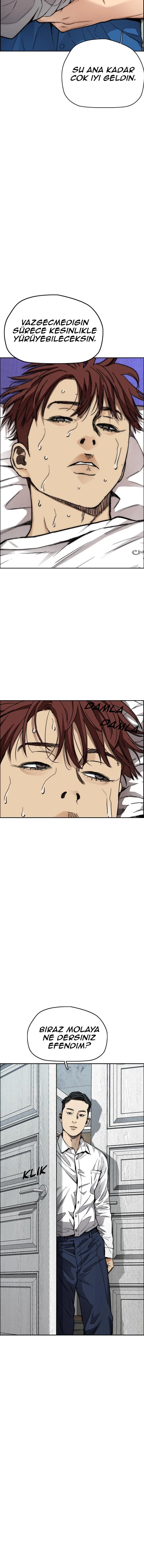 Read Wind Breaker TR Manga Online