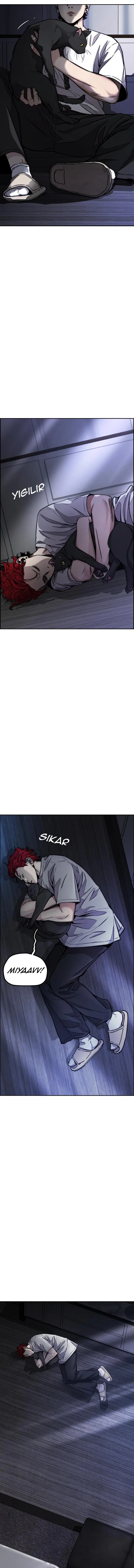 Read Wind Breaker TR Manga Online