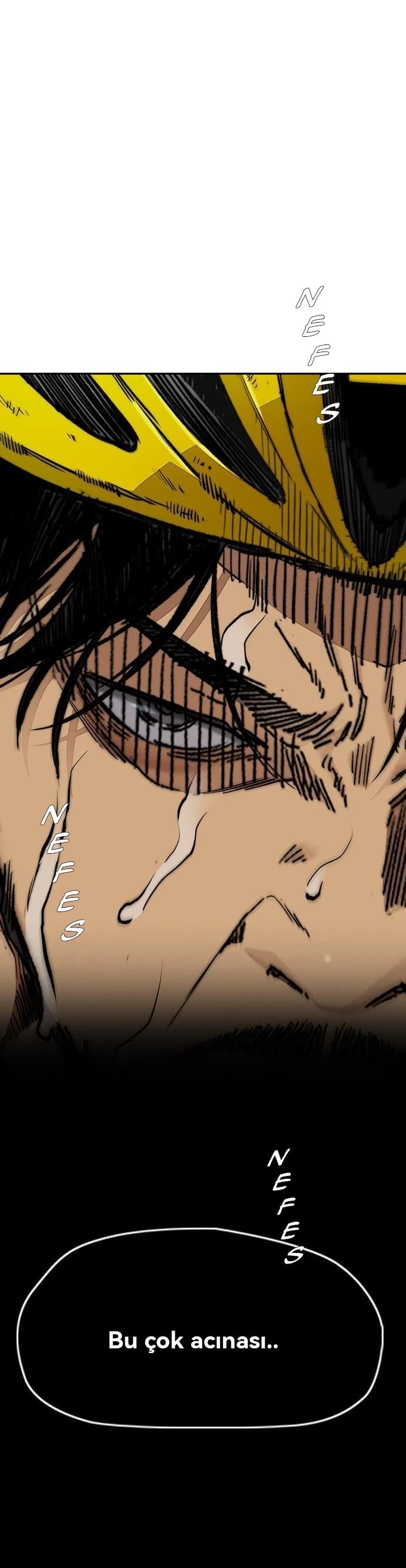 Read Wind Breaker TR Manga Online