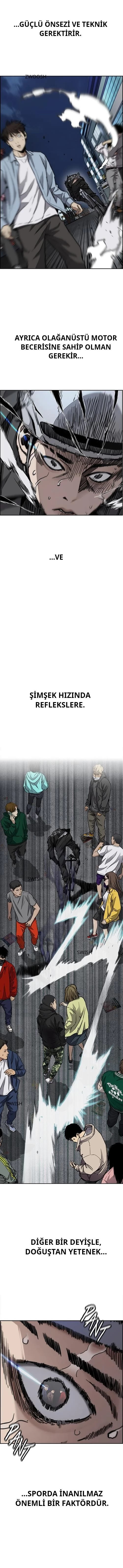 Read Wind Breaker TR Manga Online