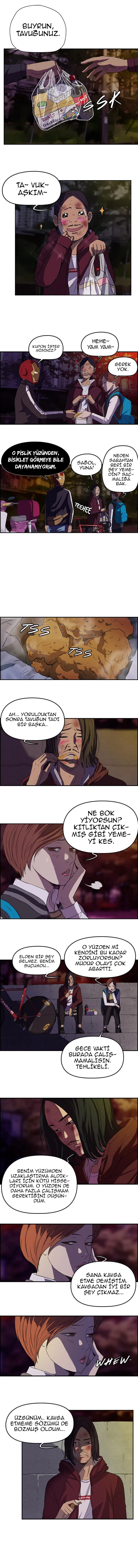 Read Wind Breaker TR Manga Online