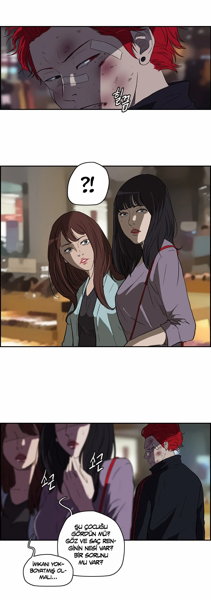 Read Wind Breaker TR Manga Online