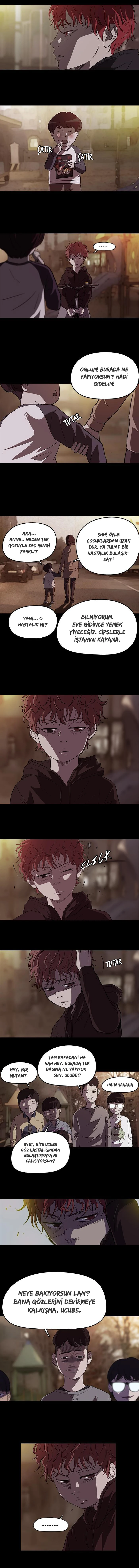 Read Wind Breaker TR Manga Online