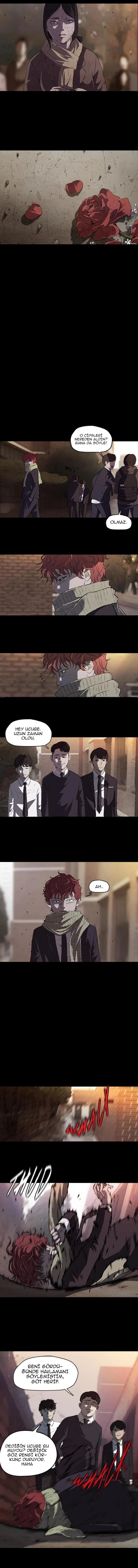 Read Wind Breaker TR Manga Online