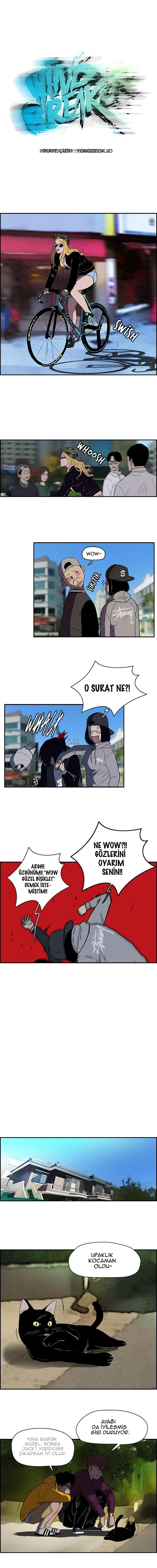 Read Wind Breaker TR Manga Online