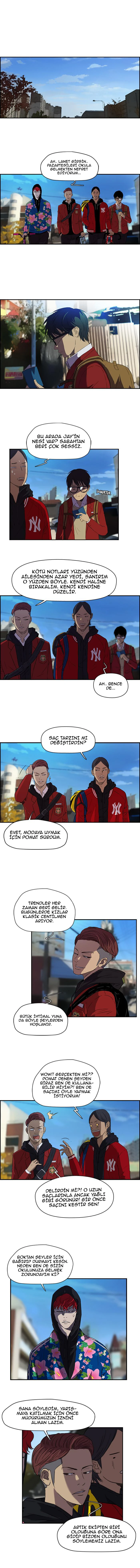 Read Wind Breaker TR Manga Online