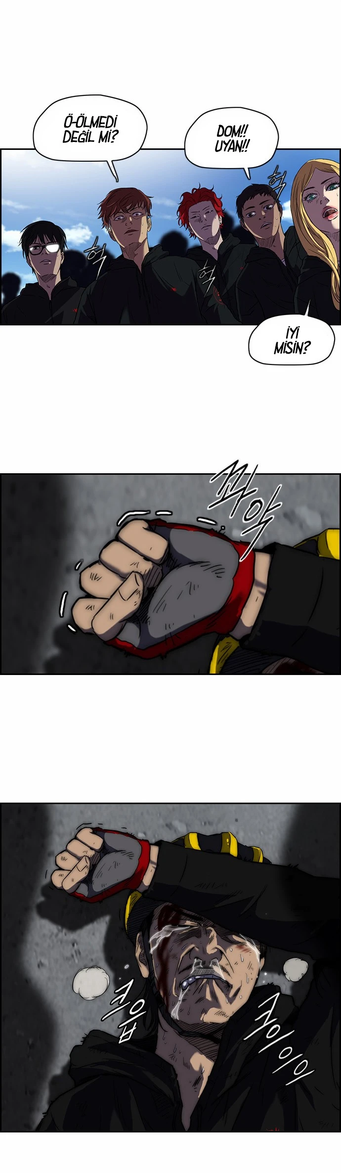 Read Wind Breaker TR Manga Online