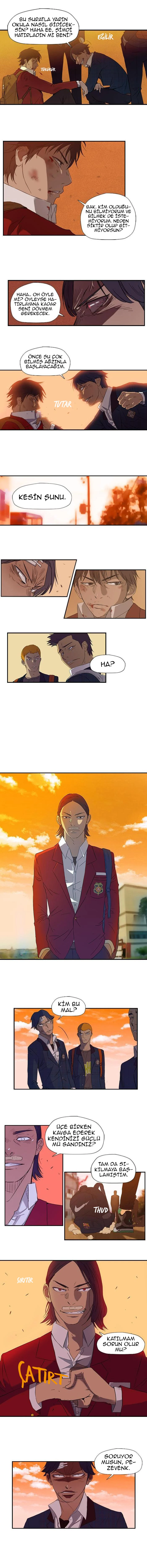 Read Wind Breaker TR Manga Online