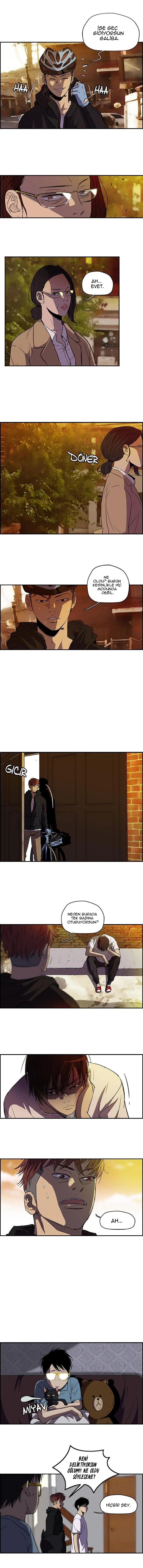Read Wind Breaker TR Manga Online