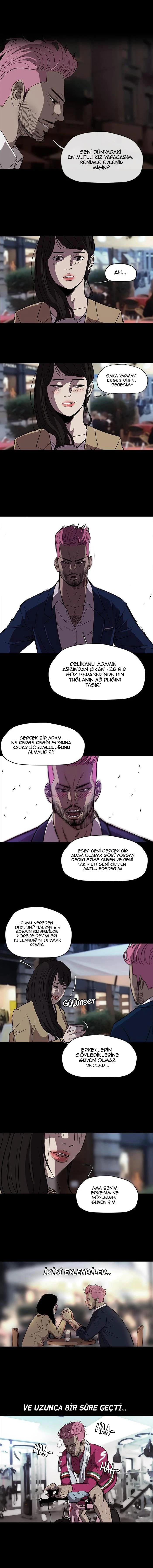 Read Wind Breaker TR Manga Online